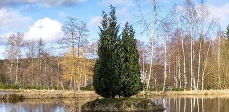 Roland Mall-Familienstiftung